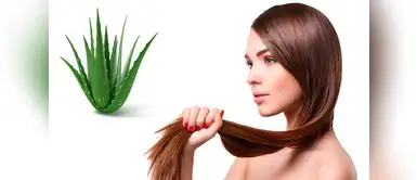 Te contamos de cuatro tratamientos que fortalecerán tu cabello Cuatro tratamientos capilares con aloe vera