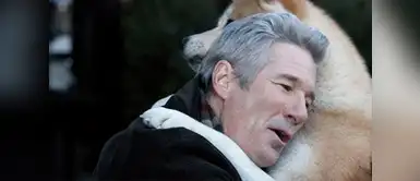 La hermosa conversación de un perro y su amo La conmovedora conversación entre un anciano y su perrito que te romperá el corazón