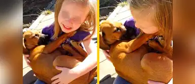 Facebook tiene un nuevo video viral y es la de una niña cantándole a un perrito para que se duerma. Niña enternece Facebook cantándole a un cachorro para que pueda dormir