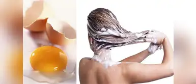 La yema del huevo para hidratar el cabello ¿Sabías que el huevo es ideal para hidratar el cabello seco?