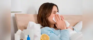 Aprende a protegerte de la influenza ¿Cómo protegerse ante los aumentos de los casos de influenza?