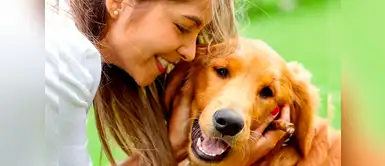 Jamás le hagas esto a tu perrito. Estos son los errores más comunes que los dueños cometen con sus perros