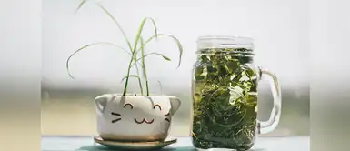 Alimentos para adelgazar Cinco alimentos que debemos consumir si queremos bajar de peso