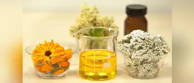 Conoce los increíbles beneficios de implementar los aceites corporales en tus rutinas de belleza Cinco beneficios que no conocías del aceite corporal