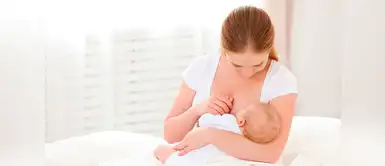 Te presentamos cuatro accesorios para la etapa de lactancia Cuatro accesorios básicos para la etapa de lactancia