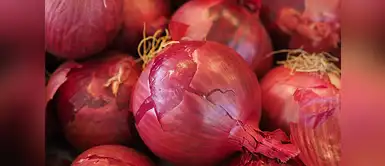 Las cebollas previenen distintas enfermedades Expertos revelan que la cebolla controla el colesterol y ayuda a prevenir el cáncer