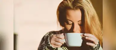 Conoce las infusiones que debes beber según el malestar que padeces Dime qué malestar tienes y te diré que infusión debes tomar