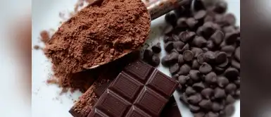 Consumir 100 gr de chocolate negro aportaría 57% de magnesio al cuerpo. Consumir 100 gr de chocolate negro aportaría 57% de magnesio al cuerpo.