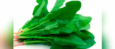 Aporta alrededor del 20% de magnesio que necesita al día el cuerpo. Puedes probarla salteada o en ensalada. Aporta alrededor del 20% de magnesio que necesita al día el cuerpo. Puedes probarla salteada o en ensalada.