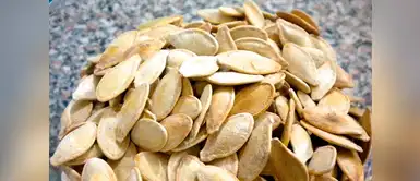 Solo 100 gr de estas semillas aportarán 592 mg del indispensable mineral. Solo 100 gr de estas semillas aportarán 592 mg del indispensable mineral.