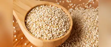 Es muy versátil y sencilla de preparar. Consumirla diariamente aporta un valor de 16% de magnesio. Es muy versátil y sencilla de preparar. Consumirla diariamente aporta un valor de 16% de magnesio.