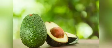 100 gr de palta contiene alrededor de 24 mg de magnesio. Un valor del 6% diario recomendado. 100 gr de palta contiene alrededor de 24 mg de magnesio. Un valor del 6% diario recomendado.