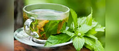 Agua de hierbabuena Agua de hierbabuena