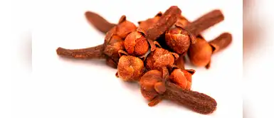 Clavo de olor Clavo de olor