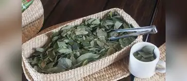 Mate de coca y salvia Mate de coca y salvia