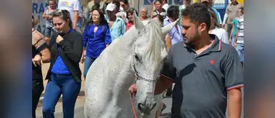 Waldo, hermano del difunto, lleva a "Sereno" para que se despida de su dueño Waldo, hermano del difunto, lleva a "Sereno" para que se despida de su dueño