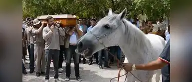 "Sereno" se despide de su dueño "Sereno" se despide de su dueño