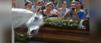 "Sereno" se despide de su dueño "Sereno" se despide de su dueño