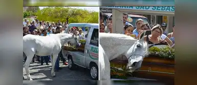 "Sereno" se despide de su dueño "Sereno" se despide de su dueño