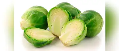 Coles de bruselas Coles de bruselas