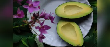 Esta es la razón por la que te obseciona comer palta Estudio revela que cada día hay más amantes de la palta