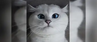 Coby y sus maravillosos ojos Coby y sus maravillosos ojos