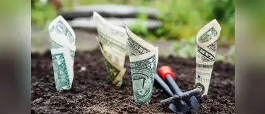 Consigue trabajo de la manera más rápida y sencilla Tres rituales que te ayudarán a conseguir trabajo en pocos días