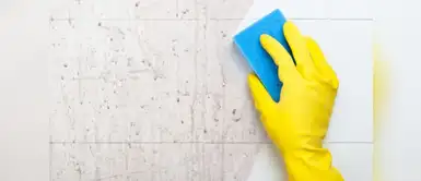 ¡Sigue estos consejos y mantén limpias tus paredes y libres del moho! Foto: Difusión Sigue estos consejos para proteger las paredes de tu hogar del moho