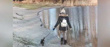 Estos consejos harán que el paseo con tu can sea todo un exito Cinco consejos para salir a pasear con tu perro