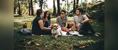 Actividades para disfrutar con nuestros perros Día del Perro: cinco experiencias para disfrutar con él