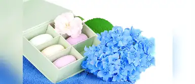 Artículos de higiene personal Artículos de higiene personal