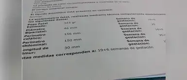 Papeles de embarazo Papeles de embarazo