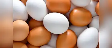 El huevo es súper nutritivo para la salud a la hora del desayuno El huevo es súper nutritivo para la salud a la hora del desayuno