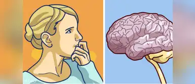 Té de maca para prevenir el cansancio mental ¿Sientes que te falla la memoria? Entonces este té de maca te ayudará estimular tu cerebro