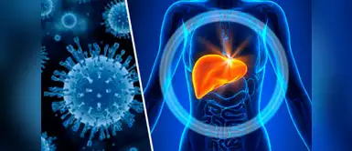 Para prevenir la hepatitis sigue estos seis cuidados Sigue estos seis cuidados para prevenir la hepatitis