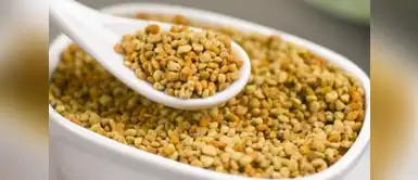 El polen es bueno para la digestión El polen es bueno para la digestión