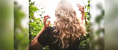 Sigue con estos consejos para limpiar de manera correcta yu secadora y plancha para el cabello Aprende a limpiar tus instrumentos de belleza con los siguientes consejos