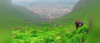 Lomas de Lúcumo Fiestas Patrias: seis lugares para hacer trekking en Lima y disfrutar del feriado