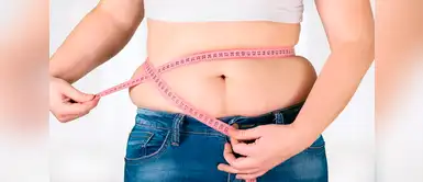 Obesidad: estudio científico explica cómo activar la grasa "buena" para controlar este problema. (Foto: Difusión) Ciencia revela cómo activar la grasa "buena" para controlar la obesidad