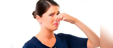 Loncheras nutritivas: cinco refrigerios nutritivos para preparar a los niños.(Foto: Redes Sociales) Cuatro remedios naturales que te ayudarán a hacerle frente a las flatulencias