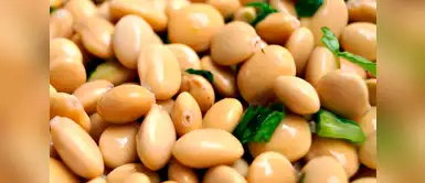 Comida saludable: qué es el chocho y cuáles son sus beneficios. (Foto: Redes Sociales) Cuatro beneficios del chocho en la salud que debes conocer