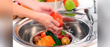 Cómo desinfectar las frutas y verduras. (Foto: Redes Sociales) ¿Cómo lavar y desinfectar correctamente verduras y frutas?