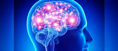 Vida saludable: qué hábitos aumentan la inteligencia. (Foto: Redes Sociales) Esto es lo que debes hacer si quieres potenciar tu inteligencia