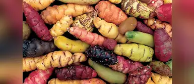 Comida saludable: qué beneficios tiene la oca. (Foto: Redes Sociales) Cinco increíbles beneficios de la oca que debes conocer