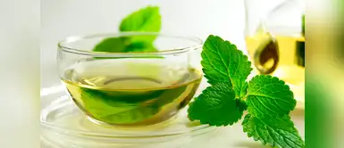 Vida saludable: cuáles son los beneficios de la menta en la salud. (Foto: Redes Sociales) Esto es lo que sucede con tu cuerpo cuando consumes menta