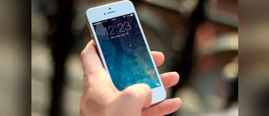 ¿Por qué es peligroso llevar el celular al baño? (Foto Redes Sociales) Estas son las enfermedades que puedes sufrir si llevas al baño tu celular, según expertos