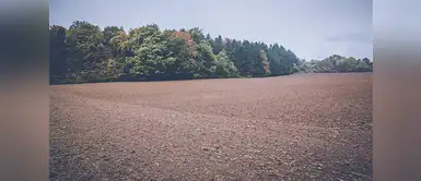 Conoce los distritos que cuyos terrenos puedes adquirir en la subasta Cumple el sueño de la vivienda propia con la subasta de terrenos de la Municipalidad de Lima