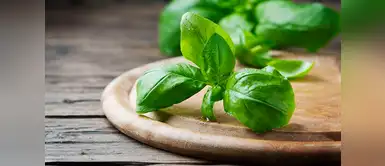 ¿Qué aporta la albahaca? (Foto: Redes Sociales) Siete poderosas razones para empezar a consumir albahaca