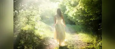 Dime en qué mes naciste y te diré que árbol te representa Este árbol te representa, según tu mes de nacimiento