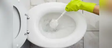 ¿Cómo hacer pastillas de bicarbonato de sodio para desinfectar el inodoro? Desinfecta tu inodoro con estas pastillas de bicarbonato que son fáciles de hacer